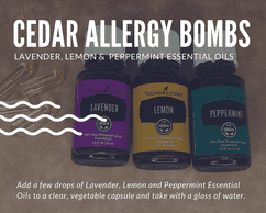 Cedar Allergy Bombs - Essential Oils